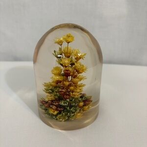 Daisyglas Lucite Resin Dried Flower Floral Paperweight Vintage MCM 1960s 1970s